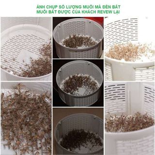 ĐÈN BẮT MUỖI THÔNG MINH NHẬT BẢN GD182 - LADY'S PASSION