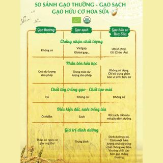 GẠO TRẮNG HỮU CƠ HOA SỮA ST25 TÚI 1KG DẺO, MỀM, THƠM GIÀU DINH DƯỠNG GẠO ĂN DẶM CHO BÉ & DÙNG CHO GIA ĐÌNH L015 - LADY'S PASSION
