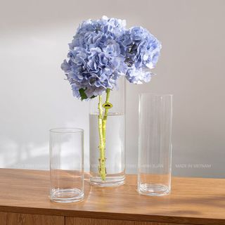 Lọ thủy tinh trụ tròn, lọ hoa thủy tinh Thanh Xuân TXG cắm hoa, nuôi cá, decor chất lượng cao cấp nhiều kích thước