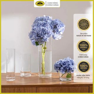 Lọ thủy tinh trụ tròn, lọ hoa thủy tinh Thanh Xuân TXG cắm hoa, nuôi cá, decor chất lượng cao cấp nhiều kích thước
