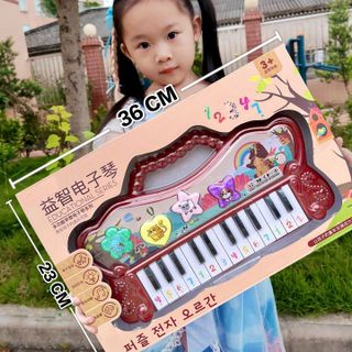 ĐỒ CHƠI ĐÀN ORGAN ĐIỆN TỬ CHO BÉ 00835 - LADY'S PASSION