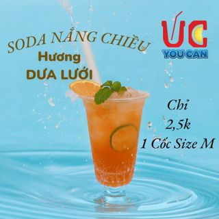 SODA DƯA LƯỚI, NƯỚC UỐNG GIẢI KHÁT CÓ SẴN GAS, KHÔNG CẦN SIRO VÀ NƯỚC CÓ GAS, THƠM NGON, DỄ PHA TÚI 500GR SDDL - LADY'S PASSION