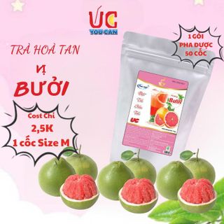 [THÙNG 10KG] BỘT TRÀ BƯỞI HÒA TAN TIỆN LỢI, GIÀU VITAMIN C, KHÔNG CHỨA CHẤT BẢO QUẢN U004 - LADY'S PASSION