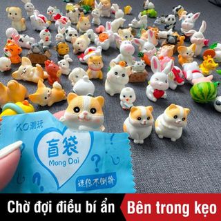 ĐỒ CHƠI BÓC KẸO BÍ MẬT 57282 - LADY'S PASSION