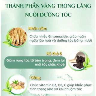 Gội nhuộm tóc thảo dược hộp 10 gói x30ml