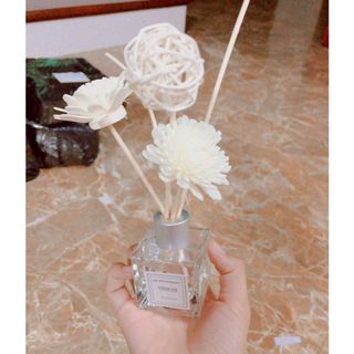 LỌ KHUẾCH TÁN TINH DẦU NƯỚC HOA THƠM PHÒNG NGỦ THIÊN NHIÊN ĐỂ PHÒNG THƠM NHÀ KHỬ MÙI 50ML GD107 - LADY'S PASSION