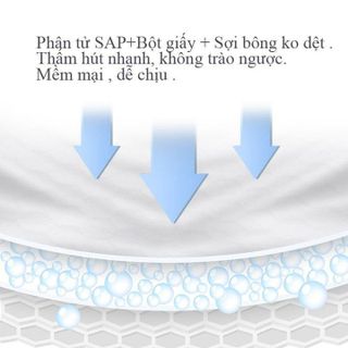 MIẾNG LÓT THẤM SỮA BABUU HỘP 30 MIẾNG 55710 - LADY'S PASSION