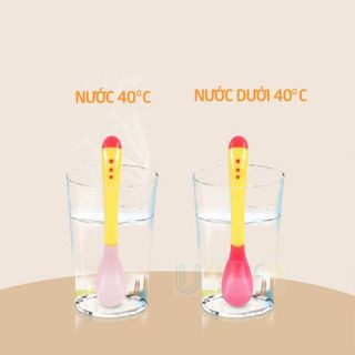 THÌA BÁO NÓNG LOẠI RẺ 00499 - LADY'S PASSION