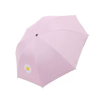 Ô DÙ XẾP HOA CÚC DAISY HÀN QUỐC, CHỐNG TIA UV, CHẤT LIỆU VẢI DÙ MẬT ĐỘ CAO, CHỐNG NƯỚC TUYỆT ĐỐI GD074 - LADY'S PASSION