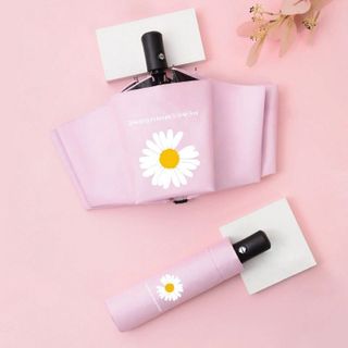 Ô DÙ XẾP HOA CÚC DAISY HÀN QUỐC, CHỐNG TIA UV, CHẤT LIỆU VẢI DÙ MẬT ĐỘ CAO, CHỐNG NƯỚC TUYỆT ĐỐI GD074 - LADY'S PASSION