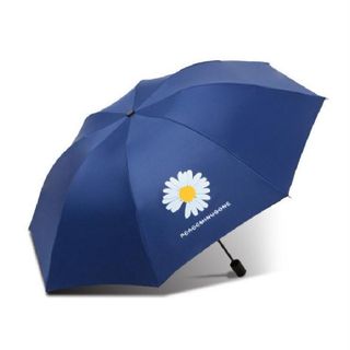 Ô DÙ XẾP HOA CÚC DAISY HÀN QUỐC, CHỐNG TIA UV, CHẤT LIỆU VẢI DÙ MẬT ĐỘ CAO, CHỐNG NƯỚC TUYỆT ĐỐI GD074 - LADY'S PASSION