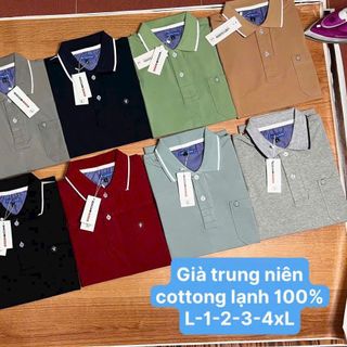 áo thun cổ bẻ, cổ trụ, thời trang trung niên