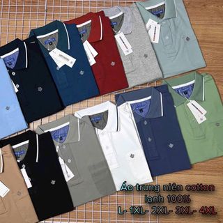 áo thun cổ bẻ, cổ trụ, thời trang trung niên