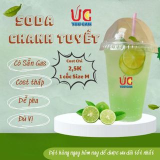 SODA CHANH BỘT HÒA TAN HƯƠNG CHANH TUYẾT, NƯỚC UỐNG GIẢI KHÁT CÓ SẴN GAS, KHÔNG CẦN SIRO, THƠM NGON TÚI 500GR - LADY'S PASSION