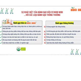 BÁNH GẠO ĂN DẶM HỮU CƠ NOBI NOBI CHO BÉ TỪ 8 THÁNG L032 - LADY'S PASSION