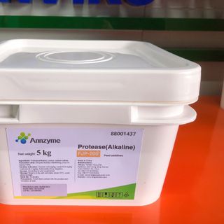 PROTEASE (ALKALINE) – Enzyme tiêu hoá đậm đặc