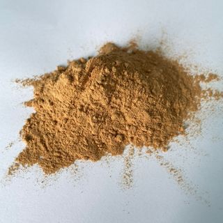 PROTEASE (ALKALINE) – Enzyme tiêu hoá đậm đặc