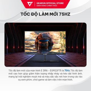 Màn hình E-DRA EGM22F75/EGM22F100 22" IPS 75Hz 100Hz