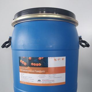 ENTEROCOCCUS FAECIUM 5B – Vi sinh đơn dòng cao cấp
