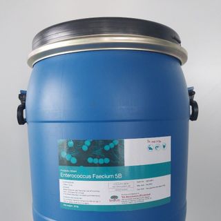 ENTEROCOCCUS FAECIUM 5B – Vi sinh đơn dòng cao cấp