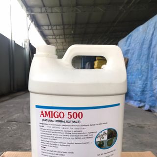 AMIGO 500