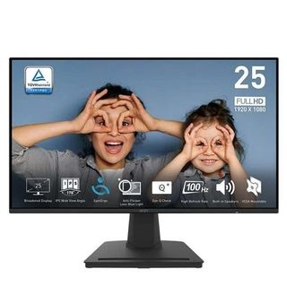 Màn hình MSI PRO MP252 25" IPS 100Hz