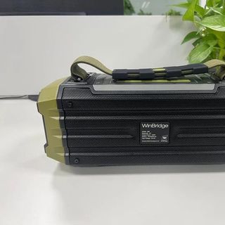 Loa Di Động WinBridge K30 - 60W với Micro không dây