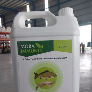 MORA IMMUNO - Thảo dược thay thế kháng sinh
