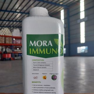MORA IMMUNO - Thảo dược thay thế kháng sinh