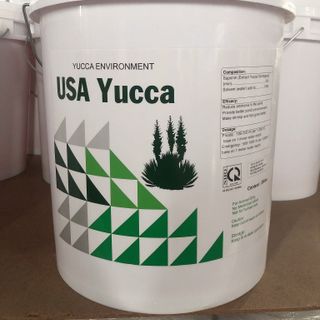 USA YUCCA