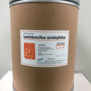 LACTOBACILLUS ACIDOPHILUS 10BN – MEN VI SINH ĐƯỜNG RUỘT CHO TÔM, CÁ