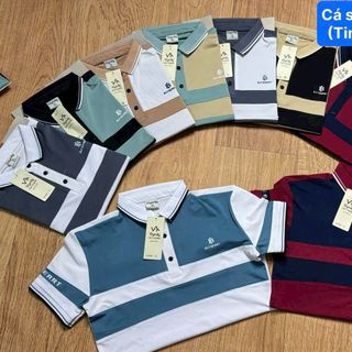 áo thun cổ trụ, phom body, chất vải thun lạnh