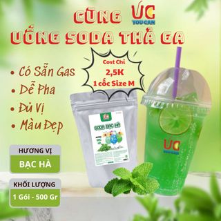 SODA BẠC HÀ BỘT HÒA TAN, NƯỚC UỐNG GIẢI KHÁT CÓ SẴN GAS, KHÔNG CẦN SIRO, THƠM NGON, DỄ PHA TÚI 500GR - LADY'S PASSION