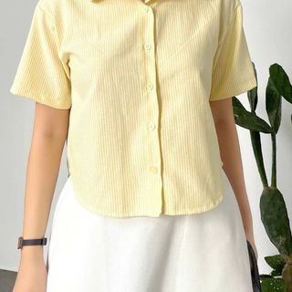 Áo sơ mi fom lửng croptop cổ sen