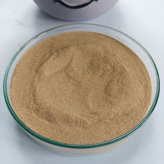 Bacillus Subtilis (200bn) - Siêu Lợi Khuẩn Đậm Đặc, Không Chất Mang cho Thủy Hải Sản