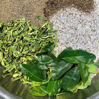 MUỐI TIÊU LÁ CHANH CHẤM GÌ CŨNG NGON 500G - WINNIE HOUSE