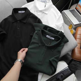 ÁO THUN CỔ BẺ PACK NBS CHẤT CÁ SẤU VẢY CÁ, MỀM MỊN, CO GIÃN 4 CHIỀU, THẤM HÚT TỐT P258 - LADY'S PASSION