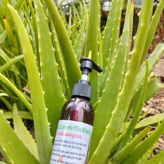 Dầu Gội Đầu Enzyme Sinh Học Tấn Khang – Giải Pháp Hoàn Hảo Cho Mái Tóc Khỏe Mạnh