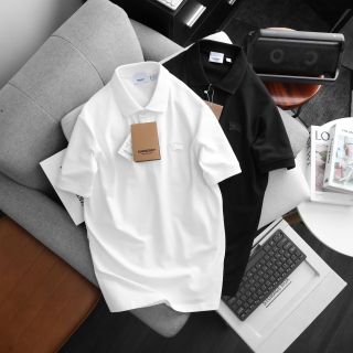 Áo polo nam.  Chất cá sấu cotton 100% vải nhập , k quá dầy cũng k quá mỏng, vừa phải mịn nhe
