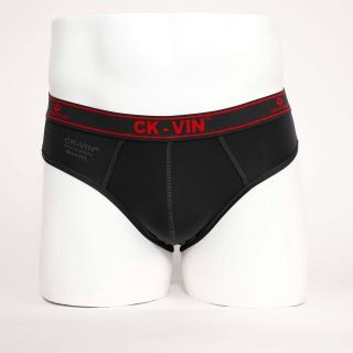 SET 5 QUẦN LÓT TAM GIÁC NAM CKVIN QL045 - LADY'S PASSION
