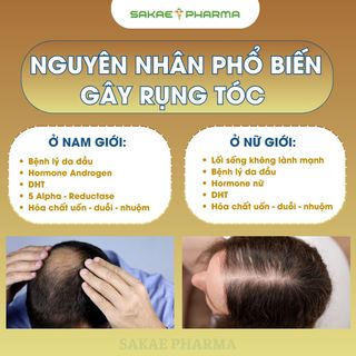 ZAHA Derma Scalp Shampoo, Dầu Gội Hỗ Trợ Điều Trị Bệnh Da Đầu Và Kích Thích Mọc Tóc 250ml
