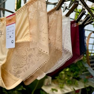 Quần lót lovely 1581