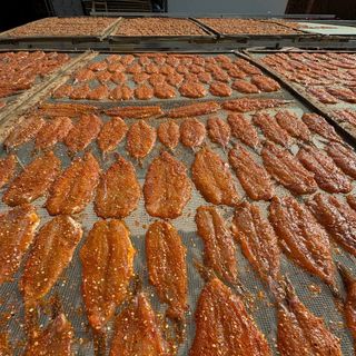 Khô cá mối