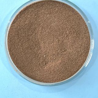 BACILLUS SUBTILIS (200bn) – Siêu lợi khuẩn không chất mang, độ đậm đặc cao
