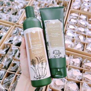 Combo Gội xả Weilayuya da thường - khô