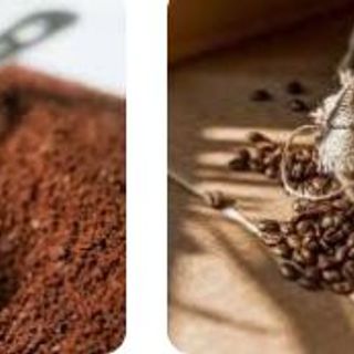 Cà Phê Robusta và Culi Giá sỉ tận xưởng , Nhận cung cấp số lượng xuất khẩu