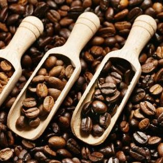 Cà Phê Robusta và Culi Giá sỉ tận xưởng , Nhận cung cấp số lượng xuất khẩu
