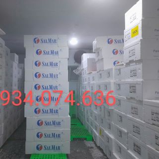 CÁ HỒI TƯƠI NAUY NGUYÊN CON
