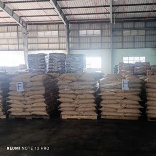 Đậu Nành Canada Không Biến Đổi Gen (Non-GMO)
