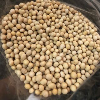 Đậu Nành Canada Không Biến Đổi Gen (Non-GMO)